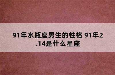 91年水瓶座男生的性格 91年2.14是什么星座